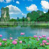 China Interior Waterproof Wall Paper for Home Decorating thumbnail-3