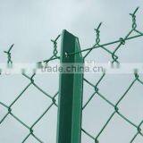 pvc chain link fence 1m*50m