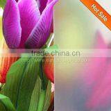 3-19mm Clear & Colored Frost Glass thumbnail-1