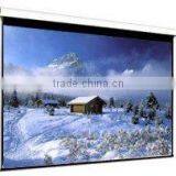 VICTORY Good Price Electric Matte White Screen
