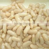 Good quality canned white kidney beans