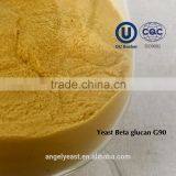 Yeast Beta Glucans as Pharmaceutical Immune Polysaccharides and Anti Radiation thumbnail-2