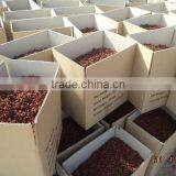 HIGH QUALITY STAR ANISEED FROM KEGO VIETNAM thumbnail-5