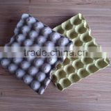 Mozambique hot selling 30 chicken eggs paper pulp tray