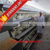 Automatic Manure Removal A Type Chicken Layer Cage for Sale