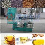Professional Small Cold Oil Press Machine thumbnail-1