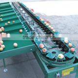 Pomegranate Grading Machine Sorter Grader thumbnail-2