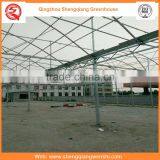 High Quality 12m Multi-span Agricultural Plastic Houses for Vegetables thumbnail-2
