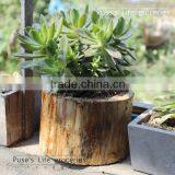Creative Garden Decor Handmade Small Wood Flower Planter thumbnail-1