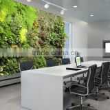 Indoor and Outdoor artificial succulent plants wall new item indoor plant wall