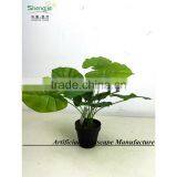 SAS201603 China Supplier Artificial Greenery Plant,Indoor Fake Ornamental Foliage Plant thumbnail-3