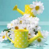 Polka Dot Eco-friendly Watering Can/ Eco-friendly Metal Flower Pot Garden Decoration Kids Toy Water Can thumbnail-1