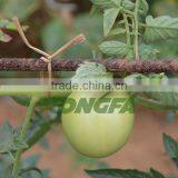 15cm Pre Cut Biodegradable Natural Twisted Paper Binding Rope for Agriculture thumbnail-5