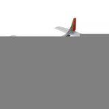 Sell Model Plane (P-51 MUSTANG-60) thumbnail-1