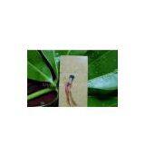 8gb paper usb SDC11306