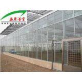 Glass Greenhouse thumbnail-2