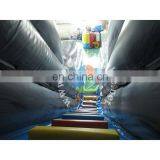 2017 More Popular Inflatable Water Slide /decal Paper Symphony Slide / Infaltable Slip n Slide for Kids thumbnail-5