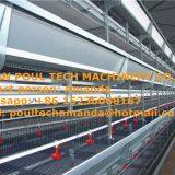 Kuwait Chicken Shed With Poultry Cage for Chicken Feed for Brooding Chicks in Poultry Farming With Chicks Cage