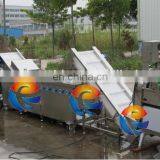 CWA-2000 Commercial Electric Type Fruits and Vegetable Cutter & Washing Production Line thumbnail-4