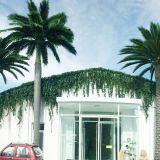 Beijing Palm International Group Ltd. company overview - view 1 thumbnail