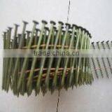Galvanized Coil Nail
