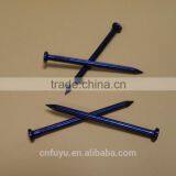 Blue Black Concrete Nail