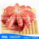 Fishing Octopus for Sale thumbnail-3