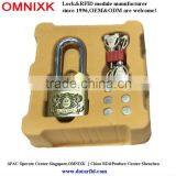 Digital Alarm Padlock Electric Diesel Tank Padlock AL-50