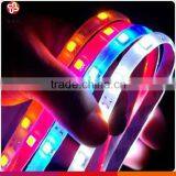 Low Votage 8~10mm Width, Decoration Colorful 3528 SMD5050 IP20 300 Led Meter DC12V/24V Led Flexible Strip thumbnail-2