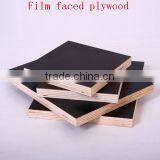 Film Faced Plywood, Black Film Faced Plywood thumbnail-5