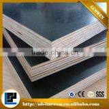 Waterproof Film Faced Plywood for Construction Plywood Concrete Formwork thumbnail-5