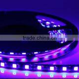 12v Led Lights Blue Color SMD5050 thumbnail-1