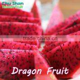 Taiwan Fresh Red Dragon Fruit for Sale thumbnail-5