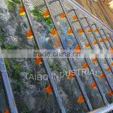 Fruit Processing Machinery Apple Washing Machine thumbnail-2