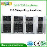 Biggest Capacity 127, 296 Quail Egg Incubator China DLF-T33