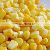 Frozen Corn Brands thumbnail-1