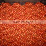New Red Onion Yellow Onion Wholesale Price thumbnail-3