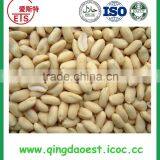 Big Size Salted Roasted Peanut Kernel With High Quality thumbnail-3