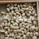 Chinese ISO9001 HACCP Commom Raw Peanut Kernels
