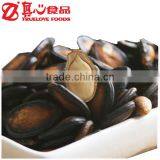 Best Quality Watermelon Seeds thumbnail-1