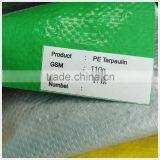 Wholesale 60-300gsm Hdpe Roof Tarp , pe Plastic Tarp for Tent , High Quality Tarp Camping thumbnail-3