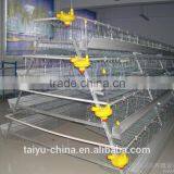 Poultry Farming Cages in Kenya thumbnail-1