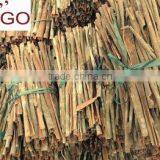 Cinnamon With Competitive Price and Good Price thumbnail-1