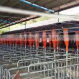 Poultry Pig Farm Design Equipment for Pigs