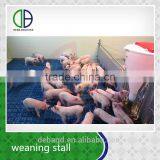 Pig Weaner Use Crates For Sale China Golden Supplier Hot Dip Galvanized thumbnail-1