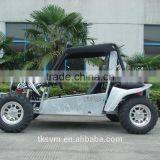 Dune Buggy 500CC 650CC thumbnail-4