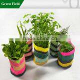 Green Field Canvas Flower Bag,Kitchen Garden Canvas Flower Bags thumbnail-1