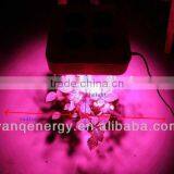 Vanq Classical 600W COB Led Grow Plant Light for Green Farm Hydroponics thumbnail-2