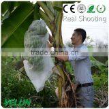 PP Nonwoven Fabric Fruit Bag thumbnail-2