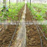 Drip Irrigation Tape With Flat Emitter thumbnail-2